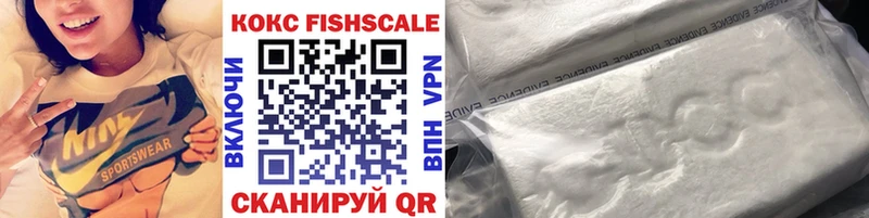 Купить закладки  Райчихинск  COCAIN Fish Scale 