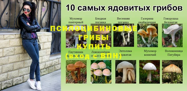 2c-b Верхний Тагил