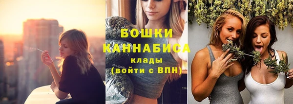 крисы Володарск