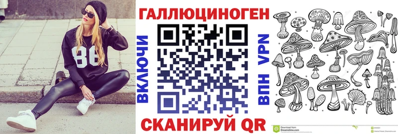 Купить закладки  Райчихинск  Псилоцибиновые грибы Magic Shrooms 