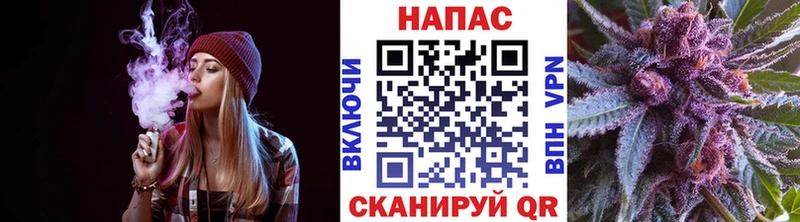 Шишки марихуана план  Купить где  Райчихинск 
